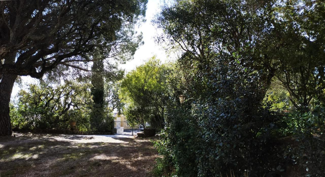 Villa Les Trois Chenes, Piscine Privee & Vue Mer Sur Golfe De Saint Tropez Les Issambres Exterior photo